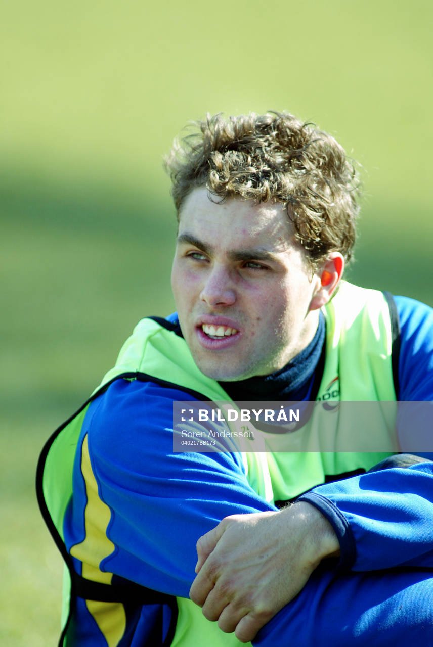 Johan Elmander, Sverige