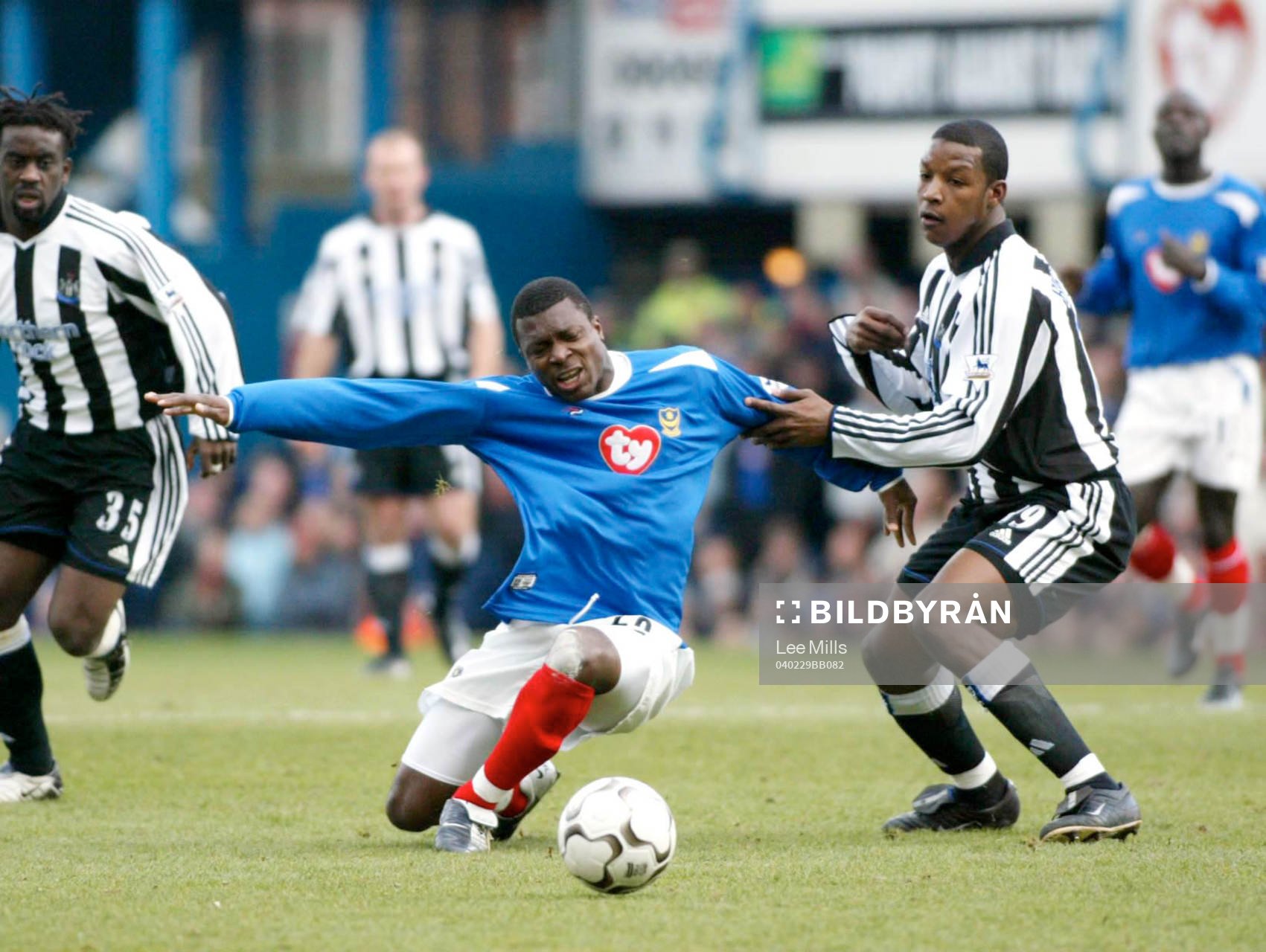 Andy Faye, Portsmouth mot Gary Speed, Newcastle