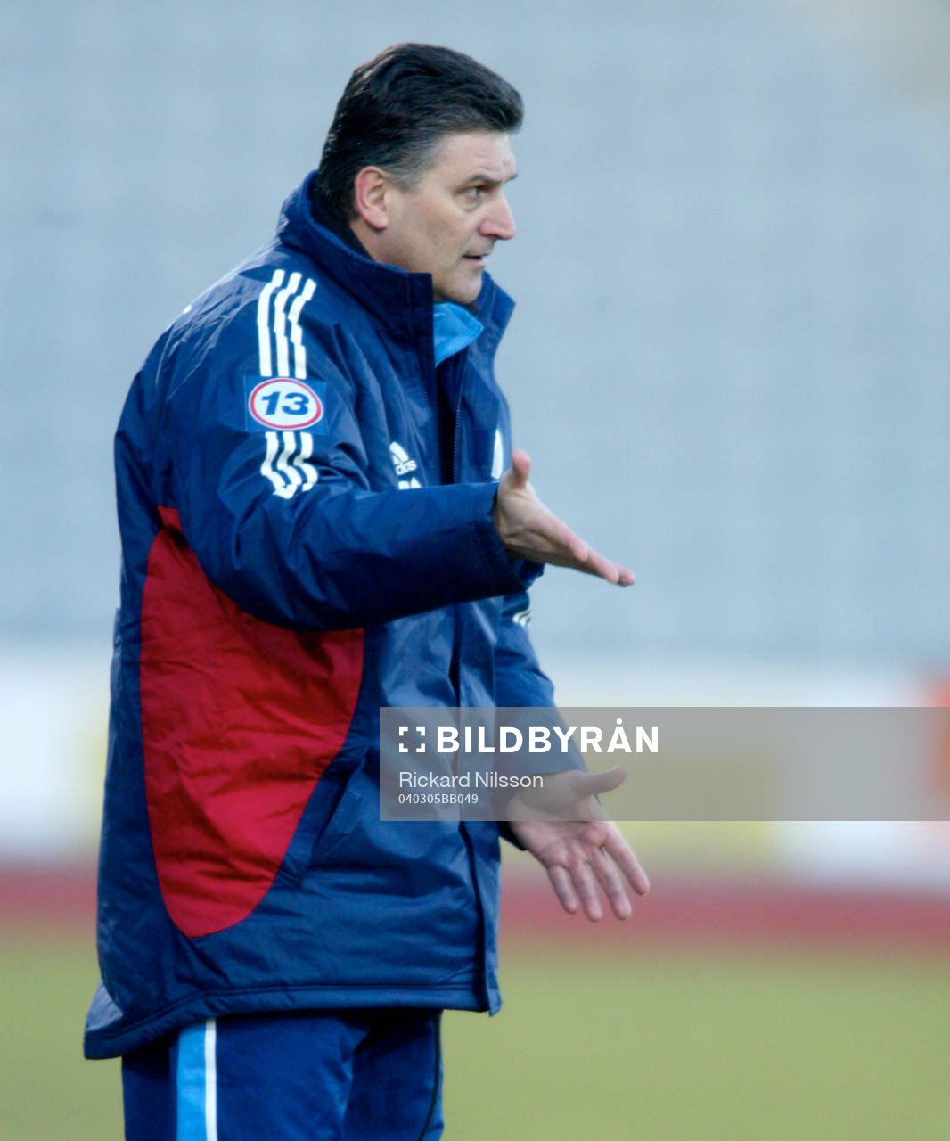 Zoran Lucic, tränare, Djurgården