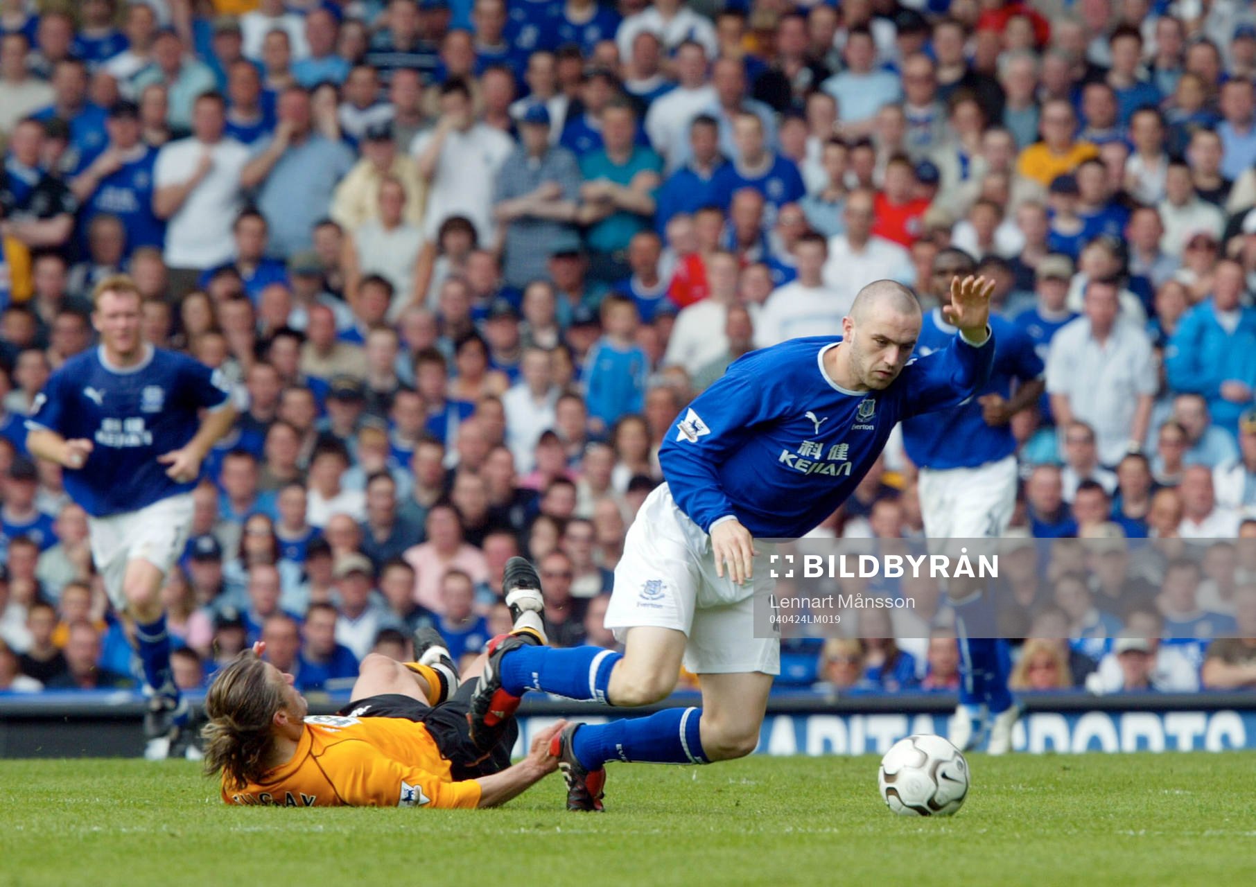 James McFadden, everton