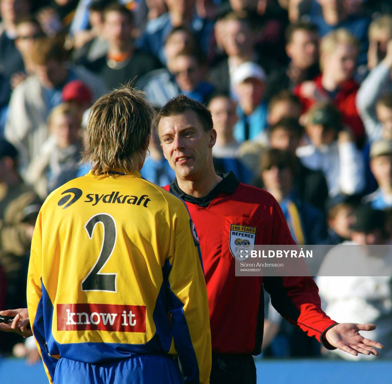 Daniel Stålhammar, domare