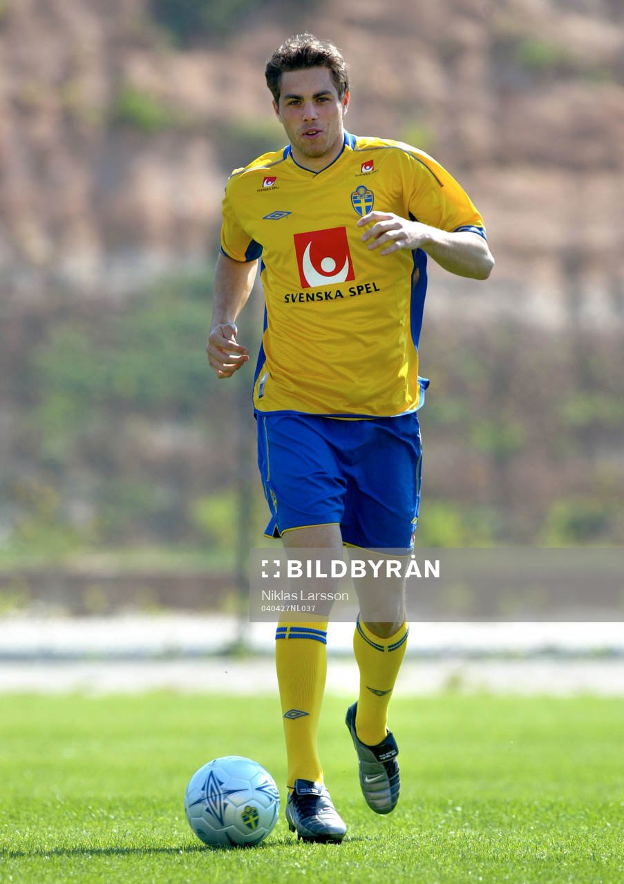 Johan Elmander, Sverige
