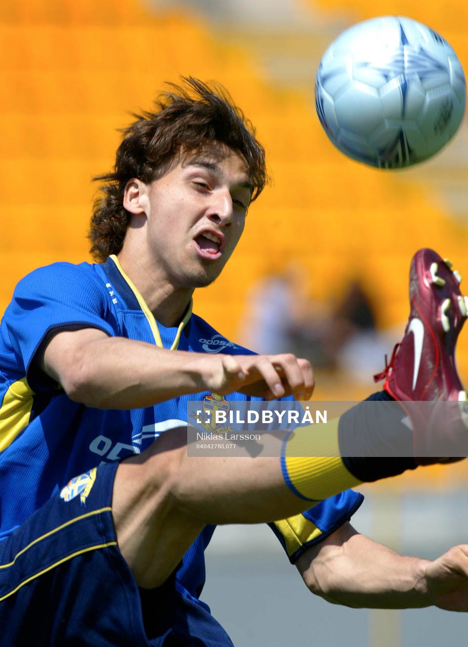 Zlatan Ibrahimovic, Sverige