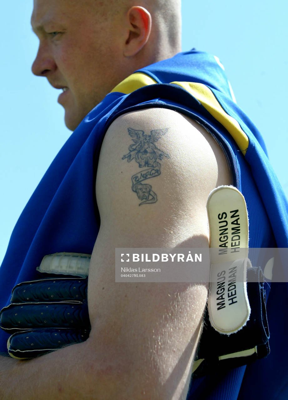 Magnus Hedman, Sverige