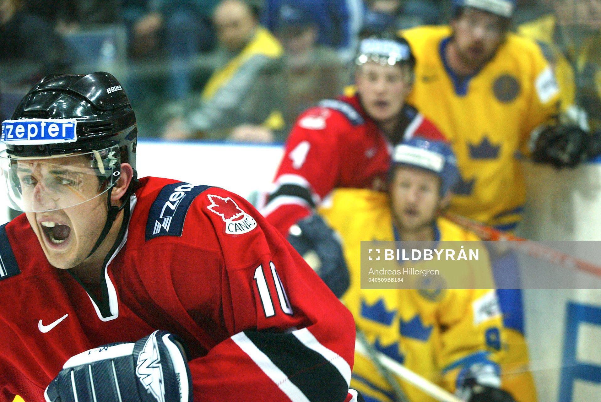 Peter Forsberg och Michael Nylander, Sverige och Shawn