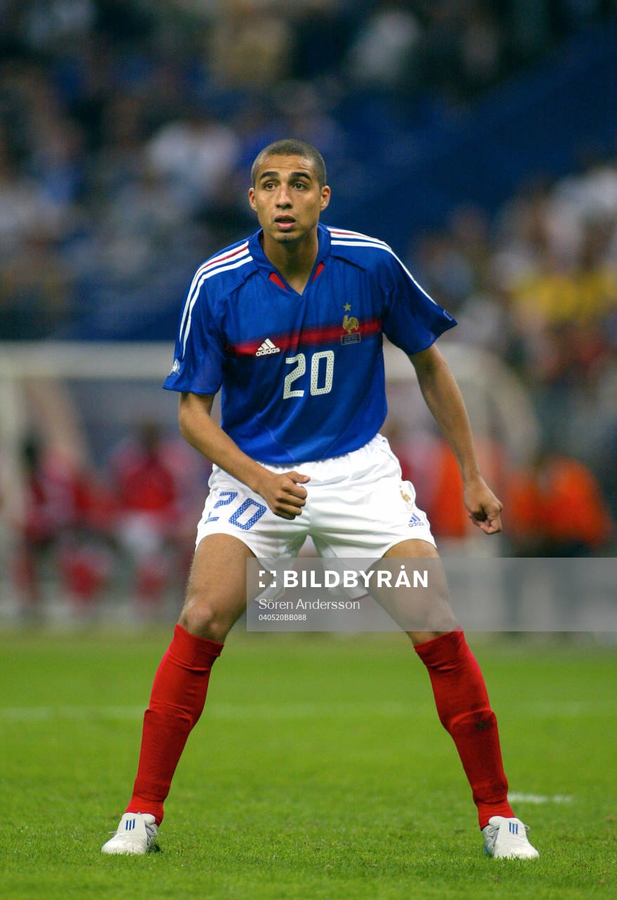 David Trezeguet, Frankrike