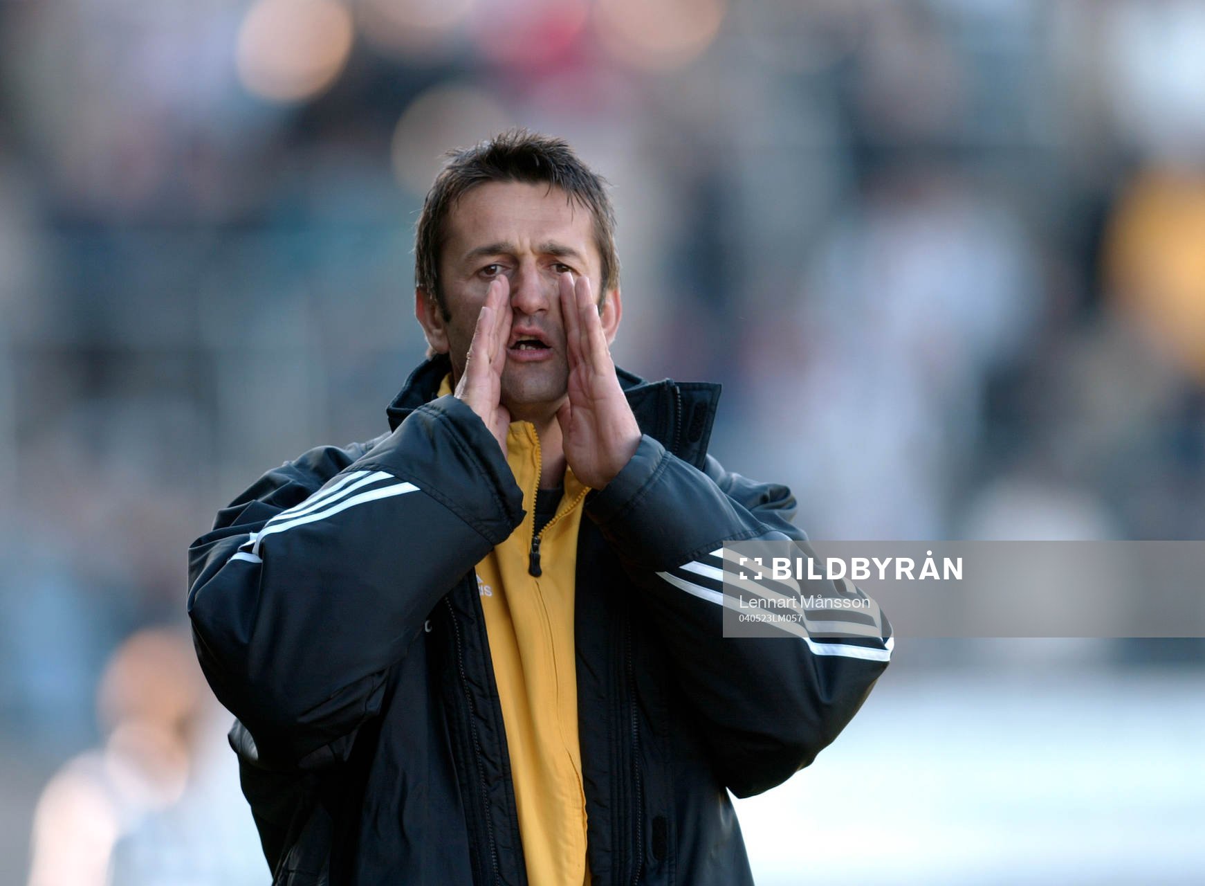 Nebojsa Novakovic, tränare, AIK