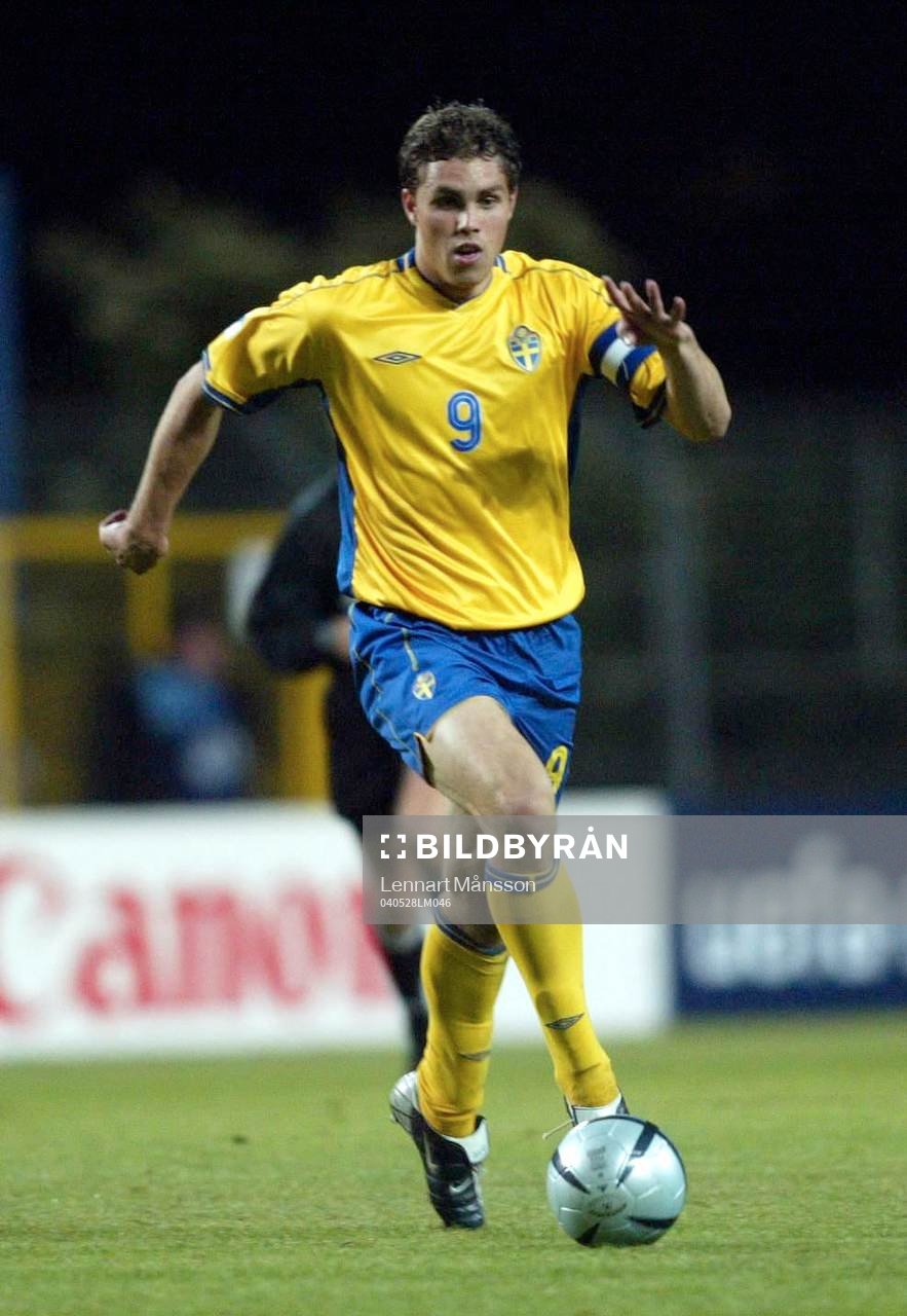 Johan Elmander, Sverige