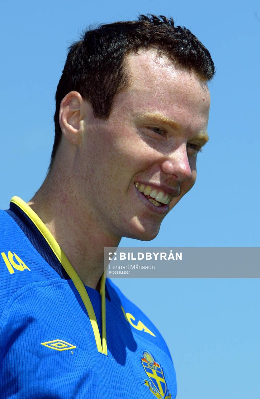 Alexander Farnerud, Sverige
