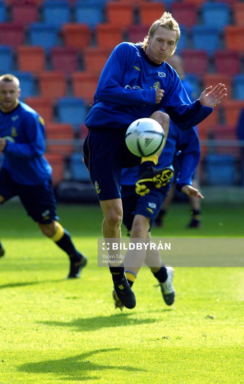 Christian Wilhelmsson, Sverige