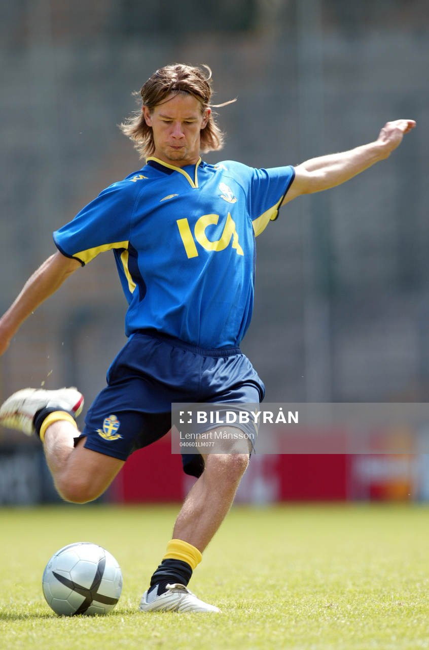 Dusan Djuric, Sverige