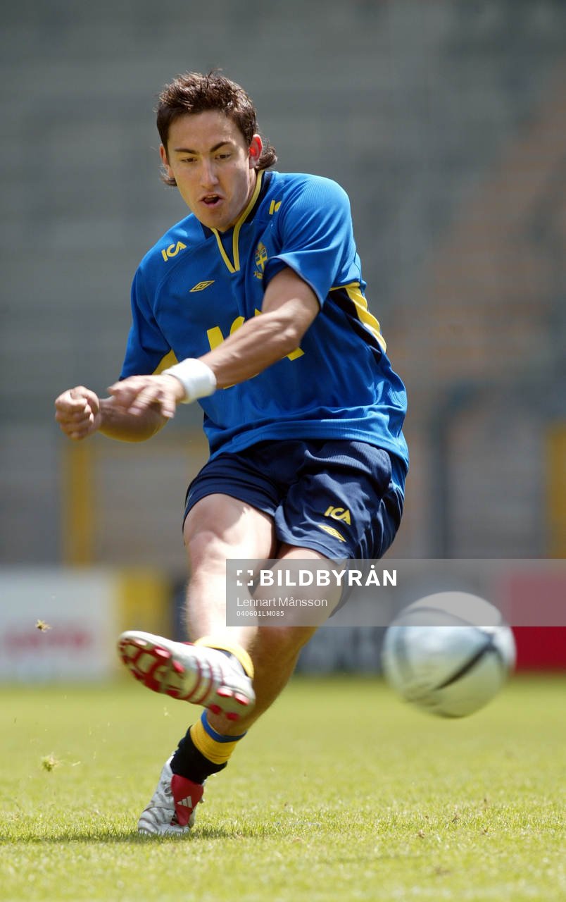 Stefan Ishizaki, Sverige