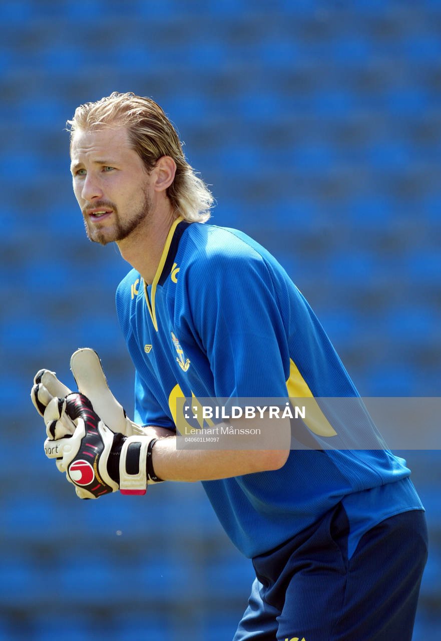 Johan Wiland, Sverige