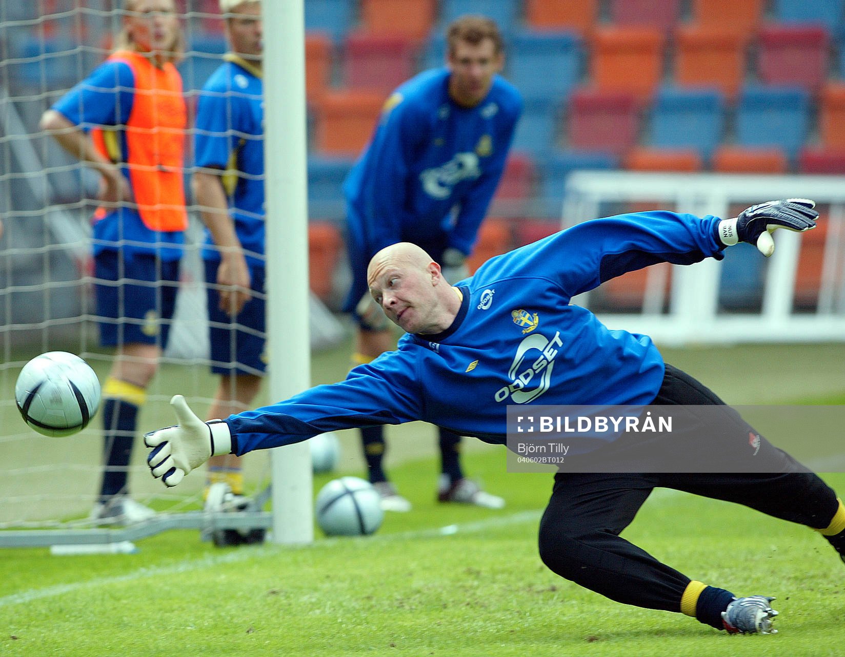 Magnus Hedman, målvakt, Sverige