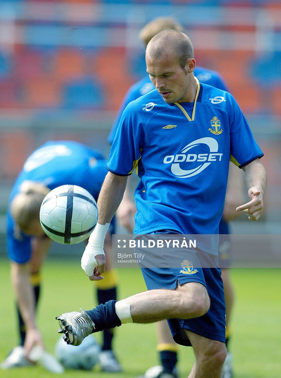 Fredrik Ljungberg, Sverige