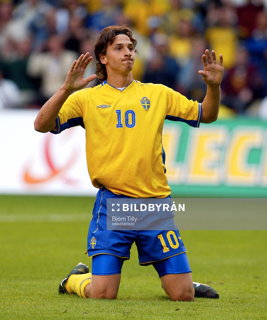 Zlatan Ibrahimovic, Sverige