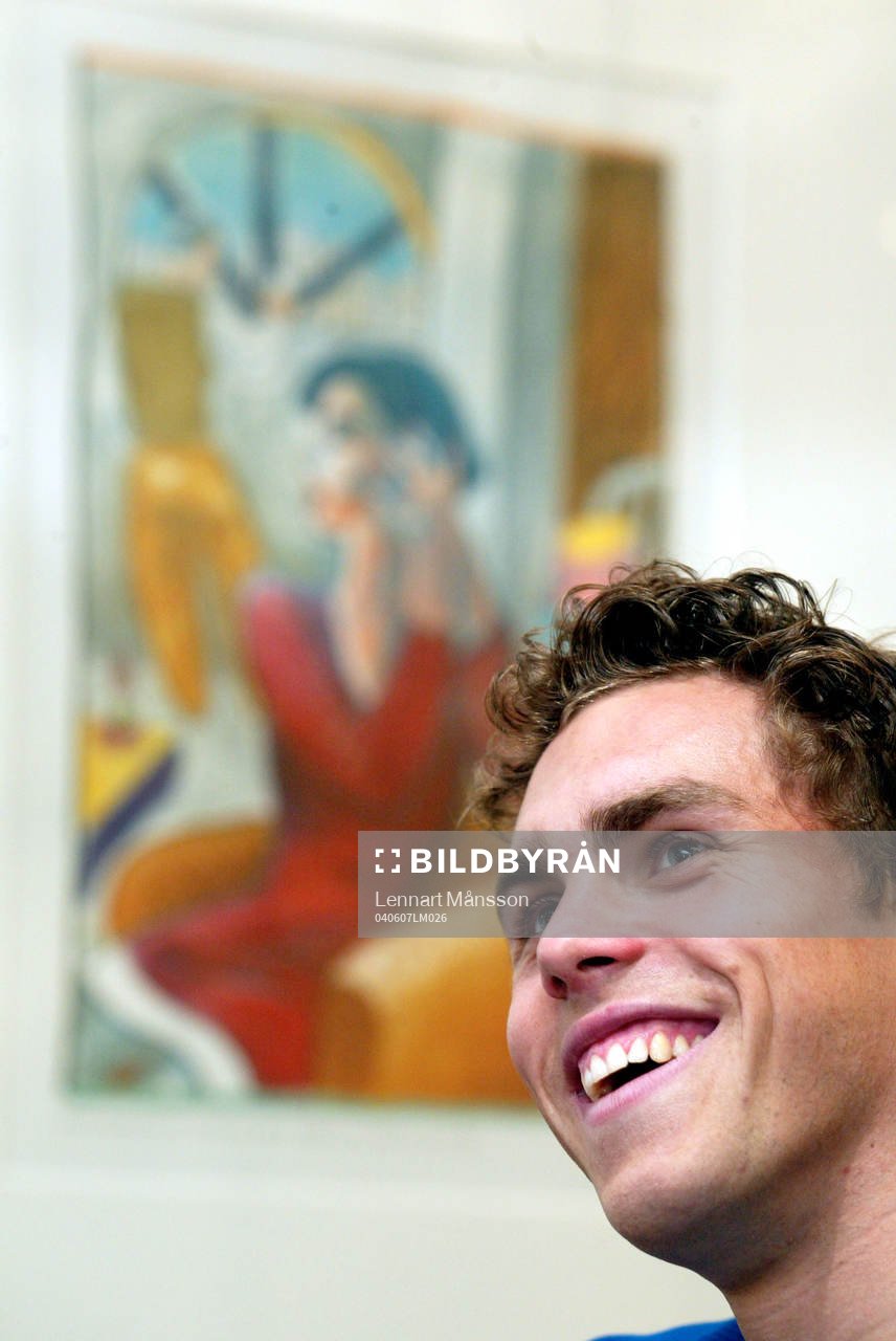 Johan Elmander, Sverige