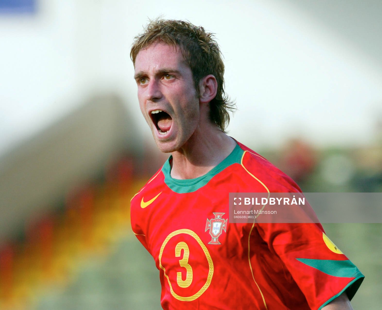 Raul Meireles, Portugal