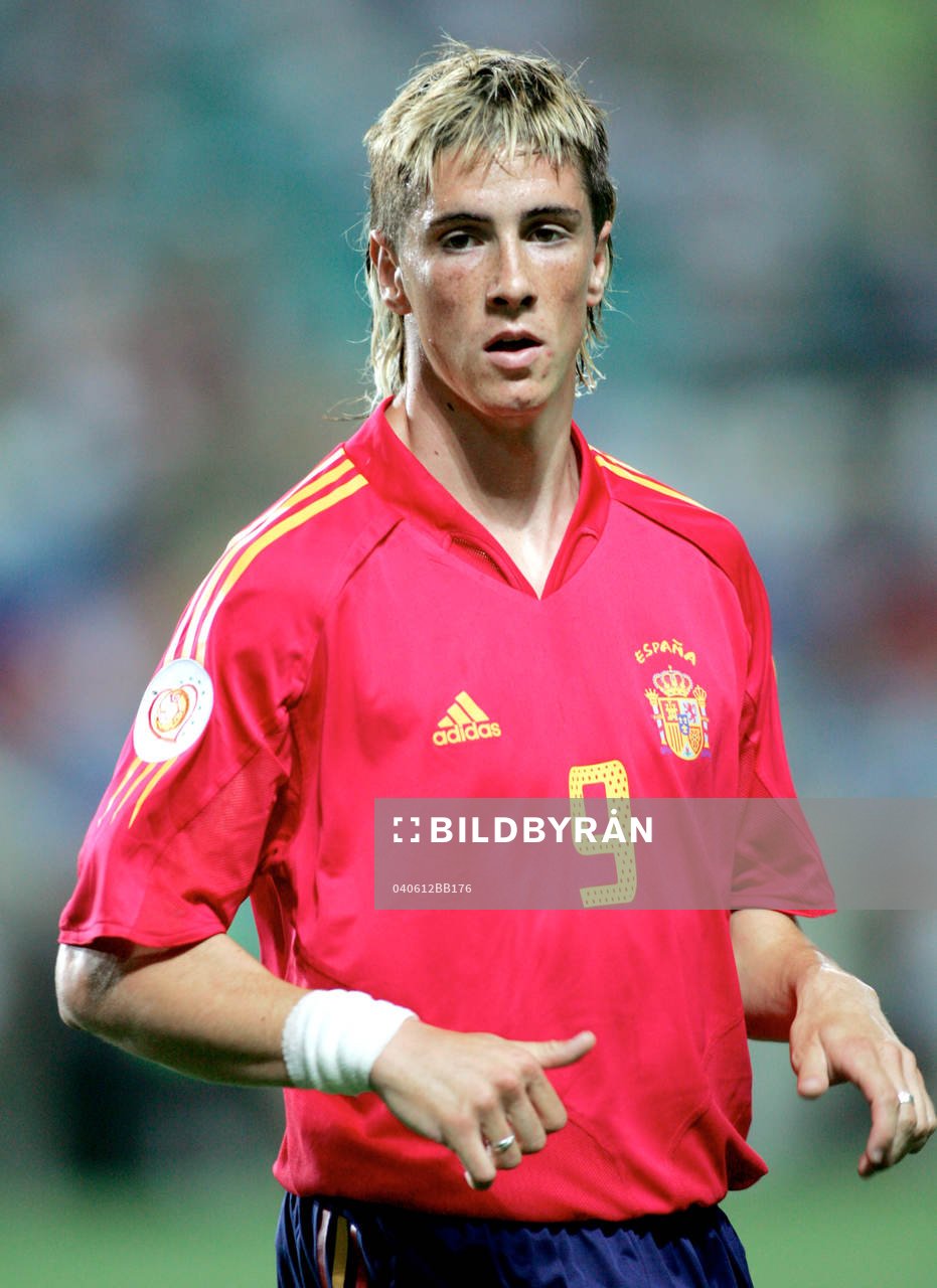 Fernando Torres, Spanien