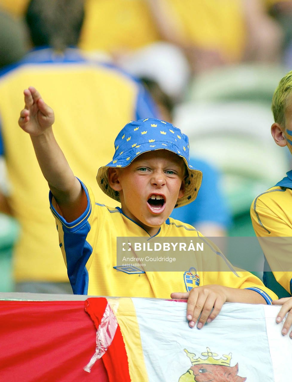Svensk supporter, fan, pojke