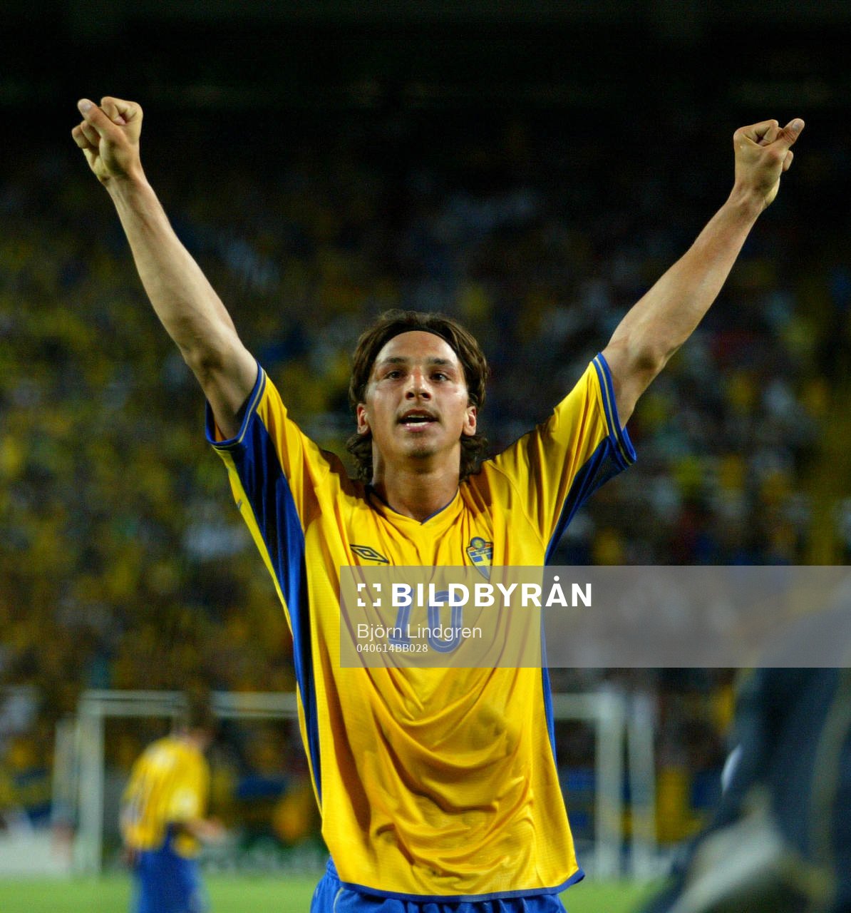 Zlatan Ibrahimovic, Sverige jubel