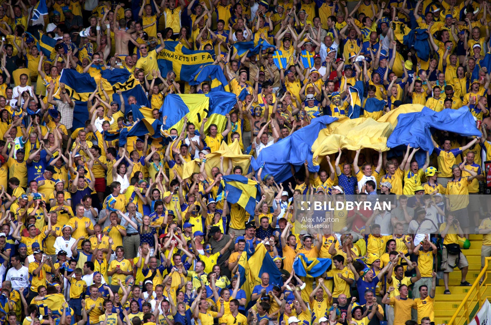 Fans, supporter, läktare