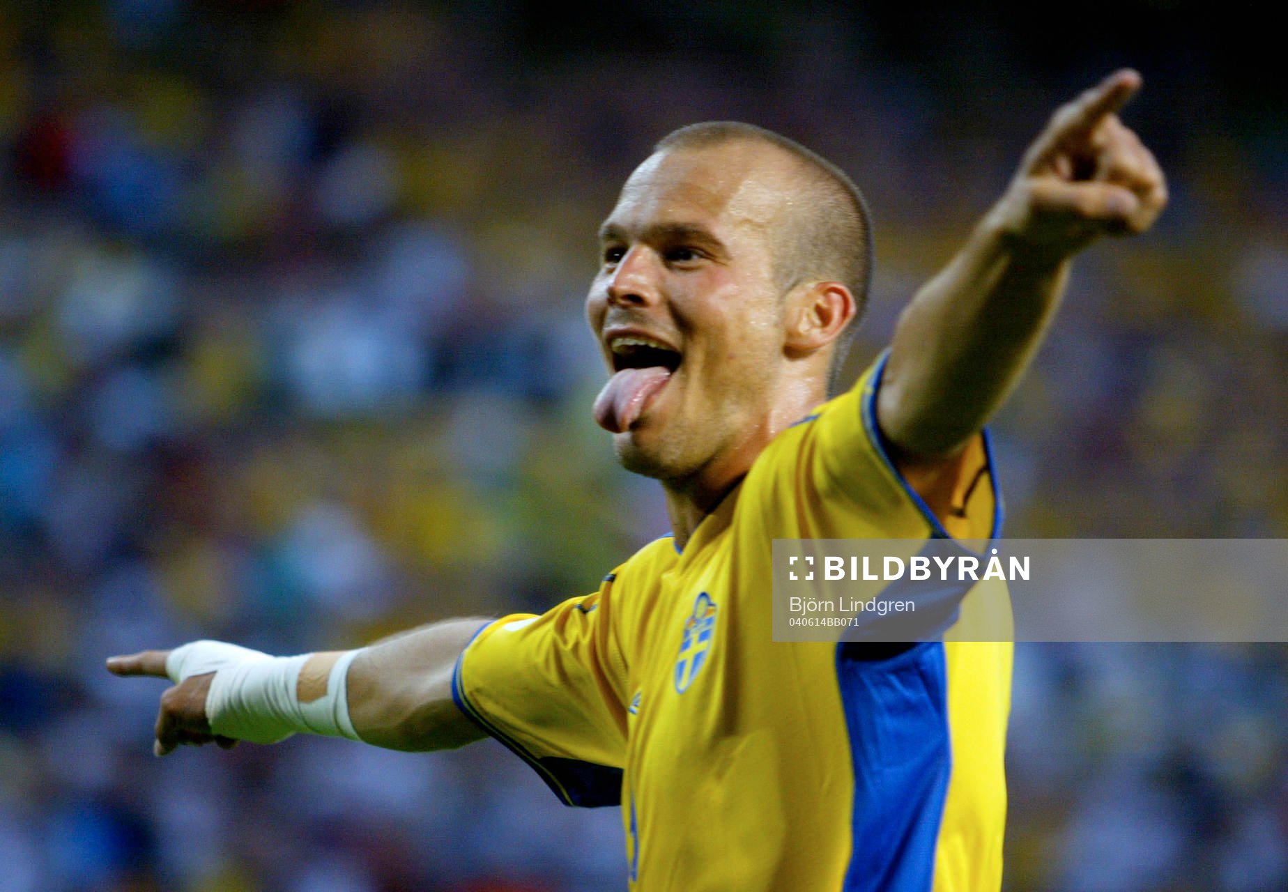 Fredrik Ljungberg, Sverige, jubel