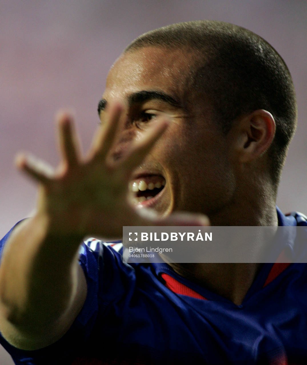 David Trezeguet, Frankrike