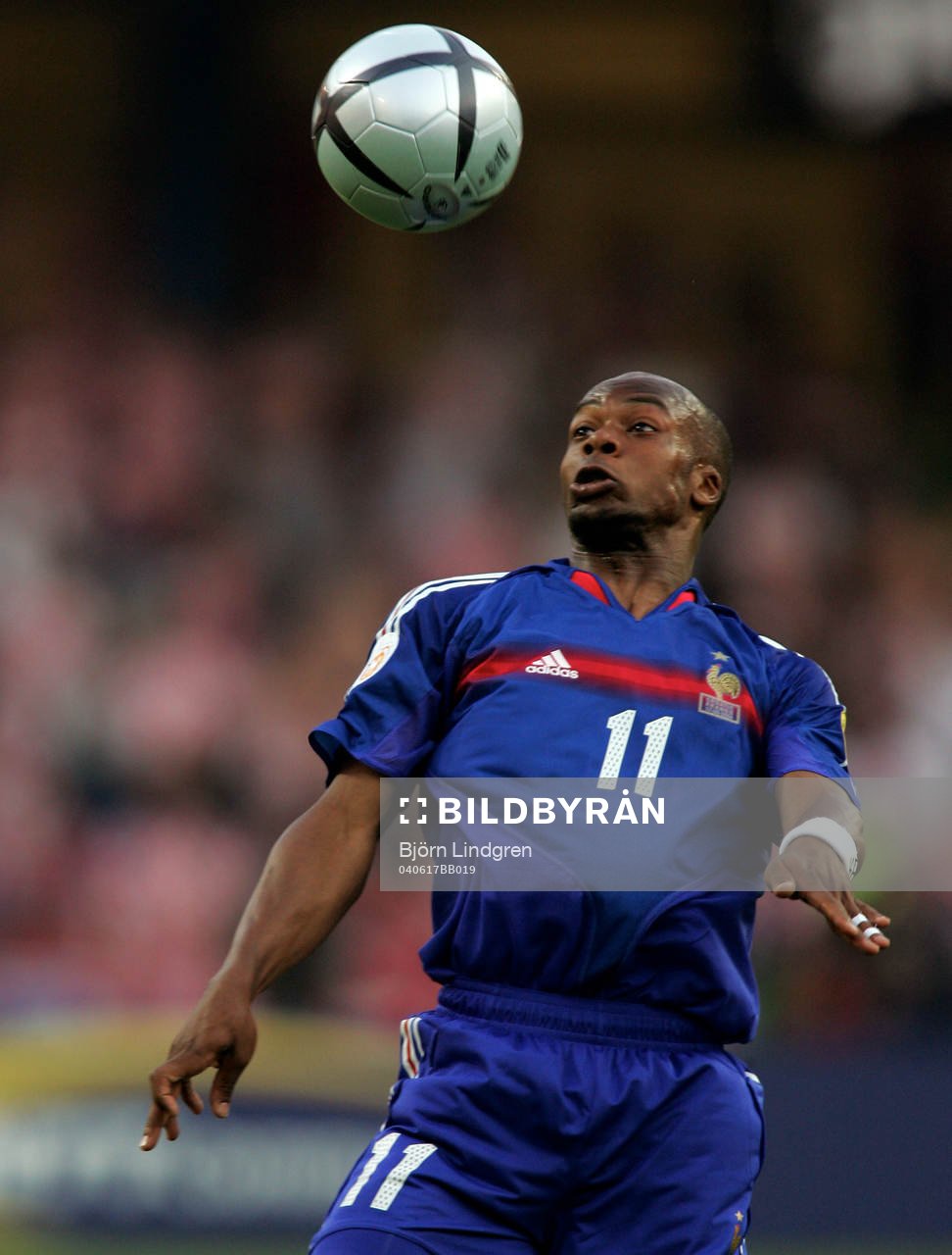 Sylvain Wiltord, Frankrike