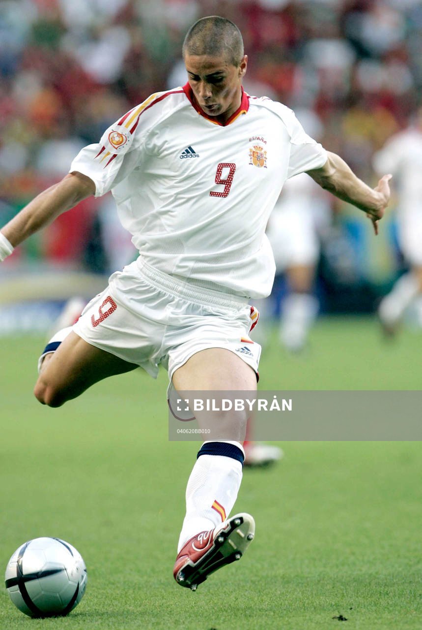 Fernando Torres, Spanien