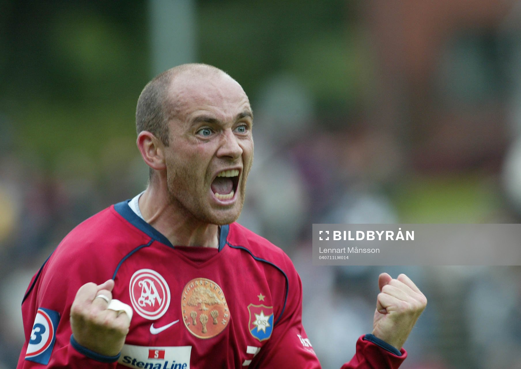 Fotboll, allsvenskan, Halmstad - Örgryte : 2-2, Tryggvi Gudmundsson och den sena kvitteringen är ett faktum. Tryggvi är så arg på linjedomare Erik Bergsten att han springer fram och jublar framför ögonen på honom - och blir utvisad.