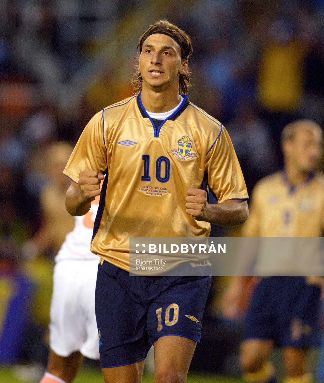 Zlatan Ibrahimovic, Sverige