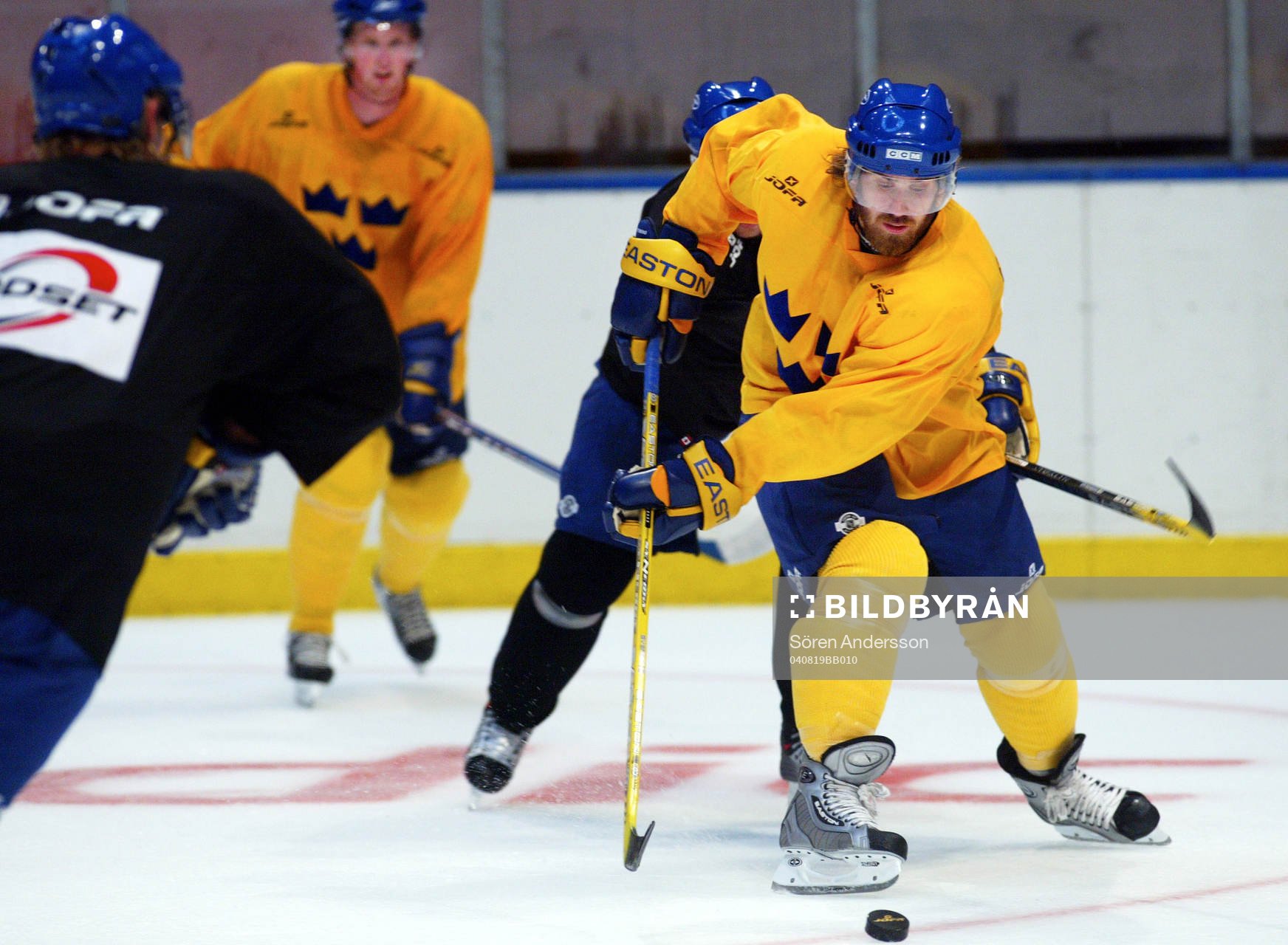 Henrik Zetterberg, Sverige