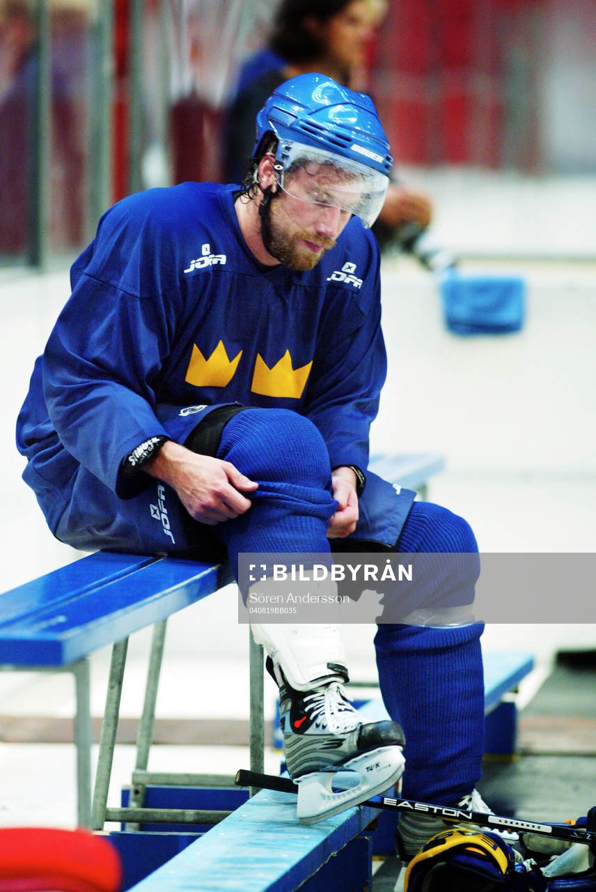 Peter Forsberg, Sverige