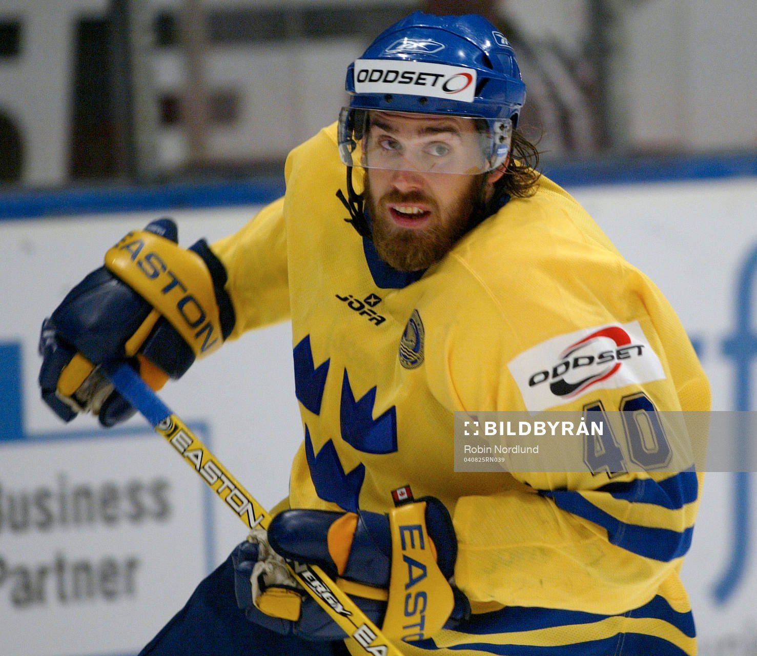 Henrik Zetterberg, Sverige