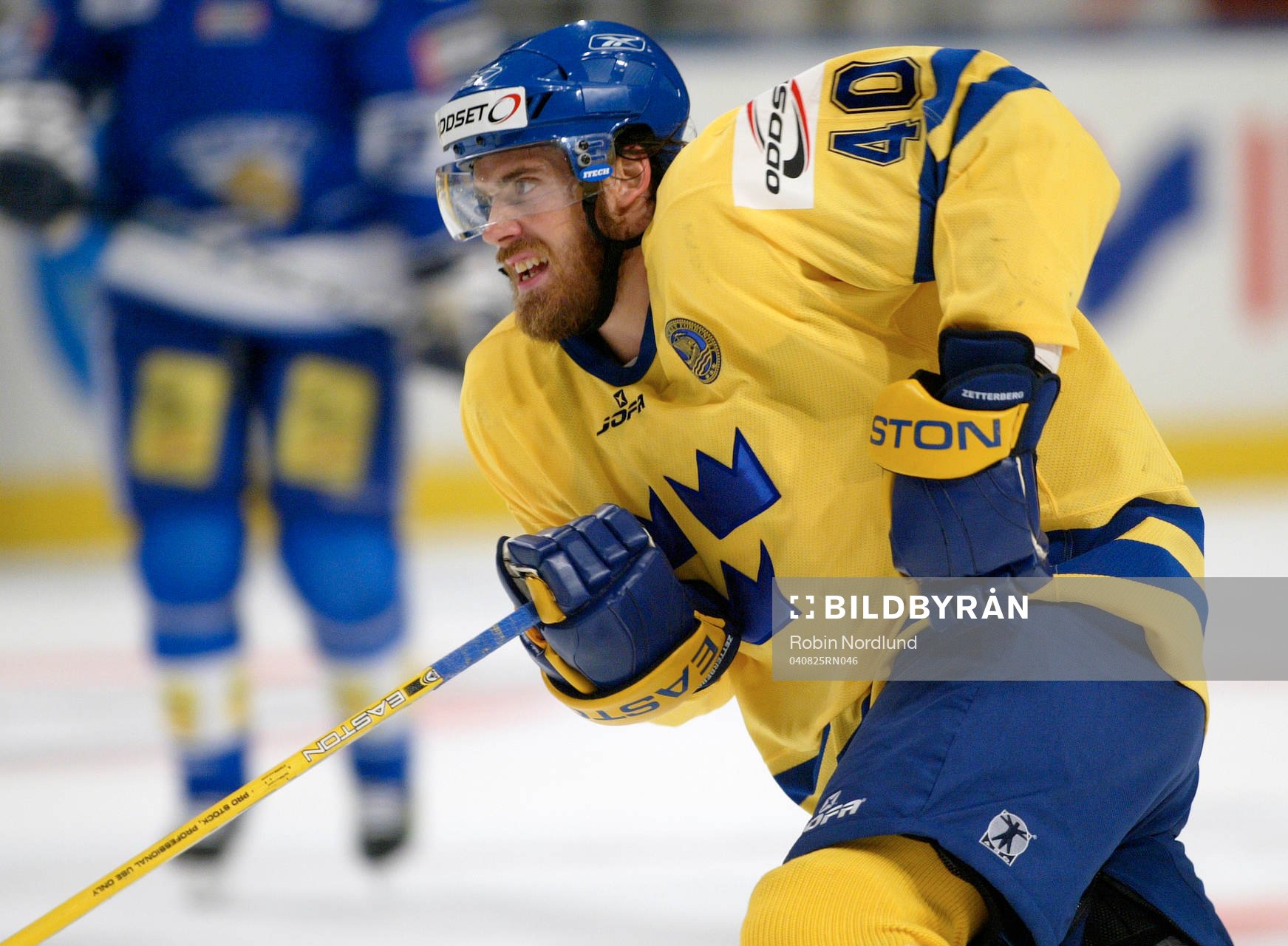 Henrik Zetterberg, Sverige