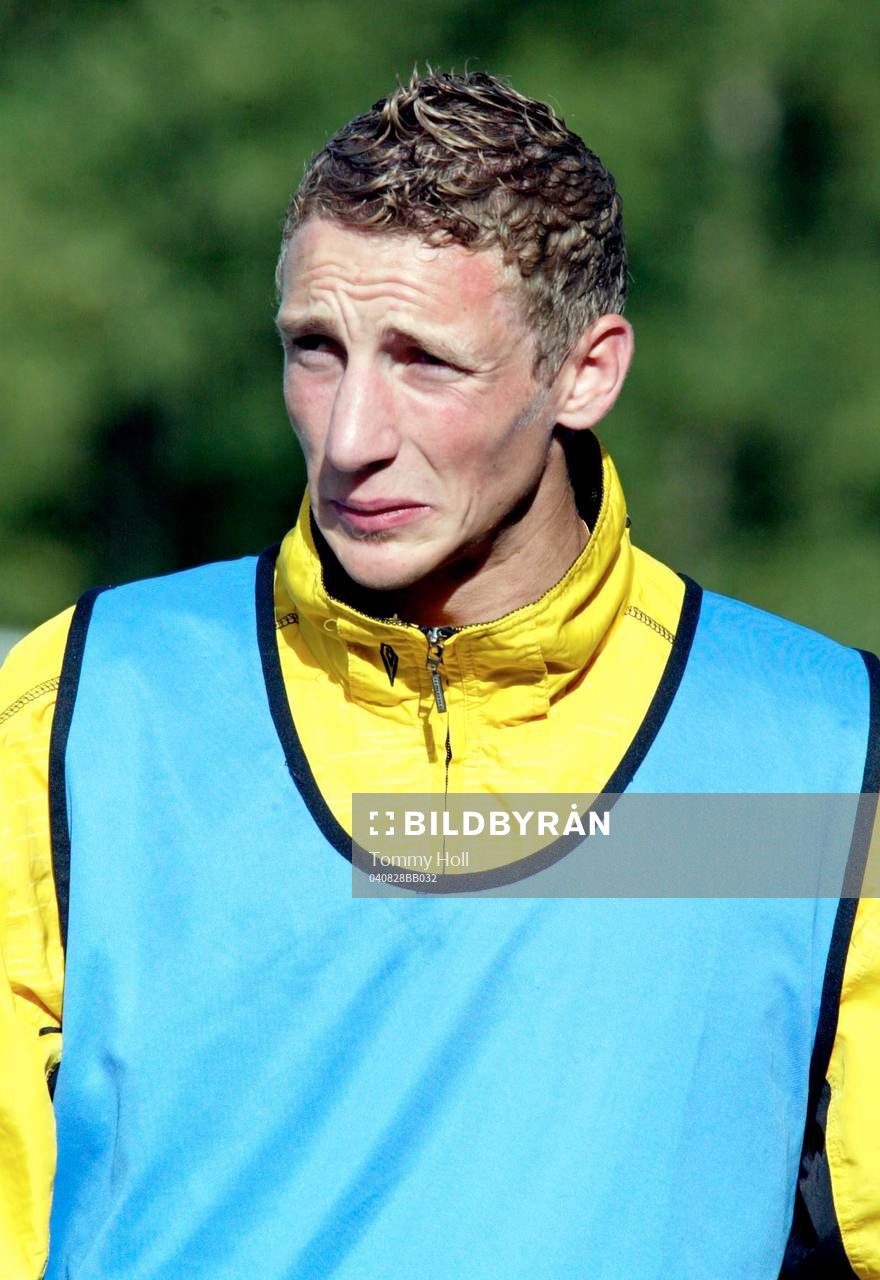 Daniel Johansson, Friska Viljor