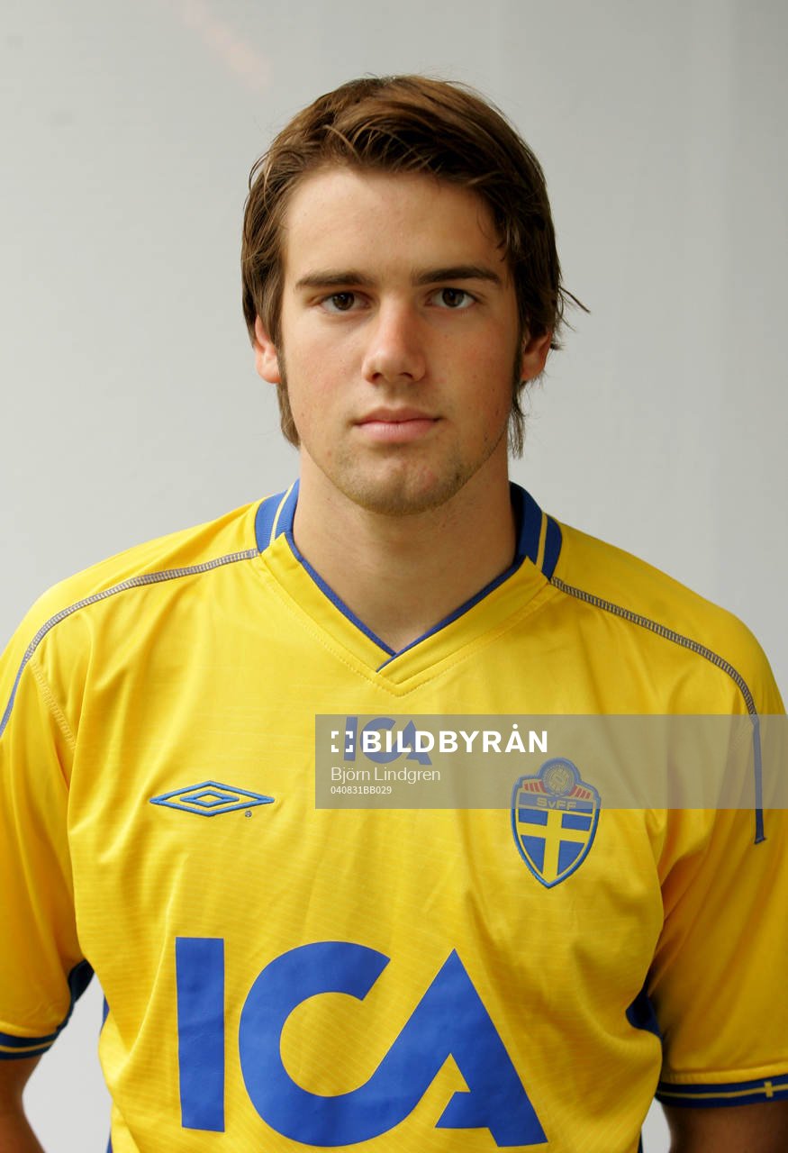 Mikael Dahlberg, Sverige