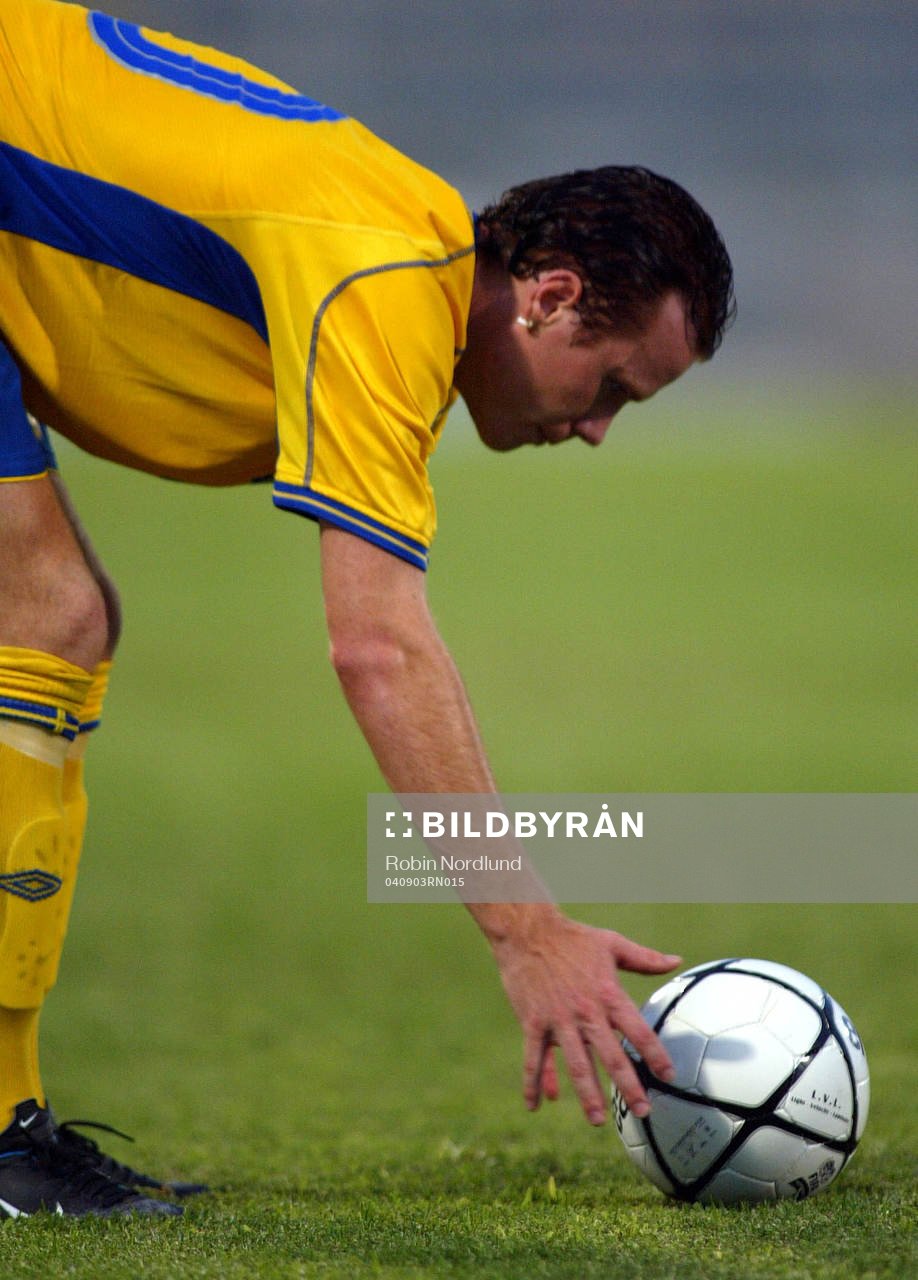 Alexander Farnerud, Sverige