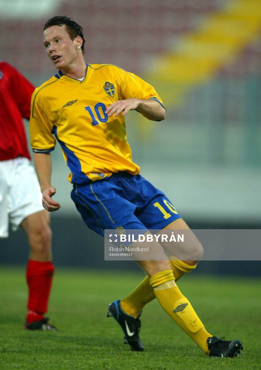 Alexander Farnerud, Sverige