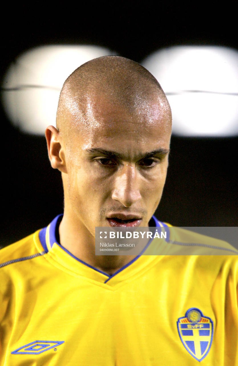 Henrik Larsson, Sverige