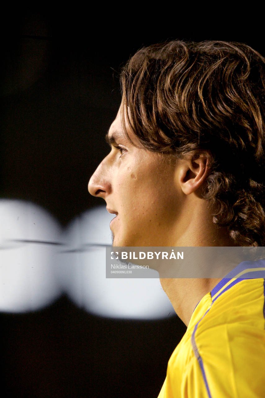 Zlatan Ibrahimovic, Sverige