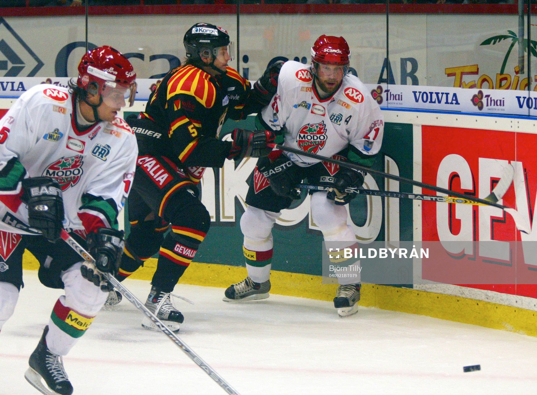 Peter Forsberg, Modo och Mikko Kuparinen, Brynäs