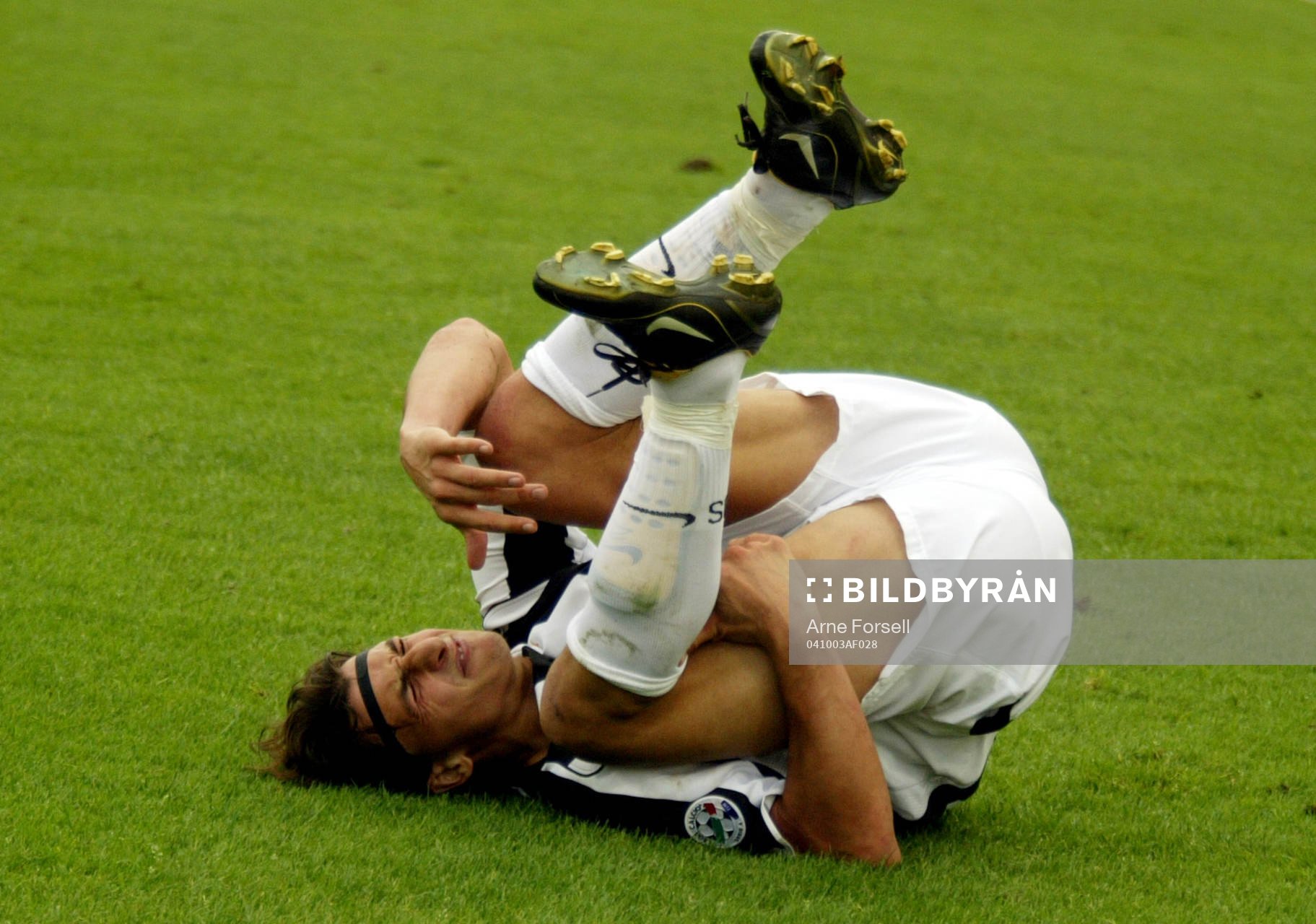 Zlatan Ibrahimovic