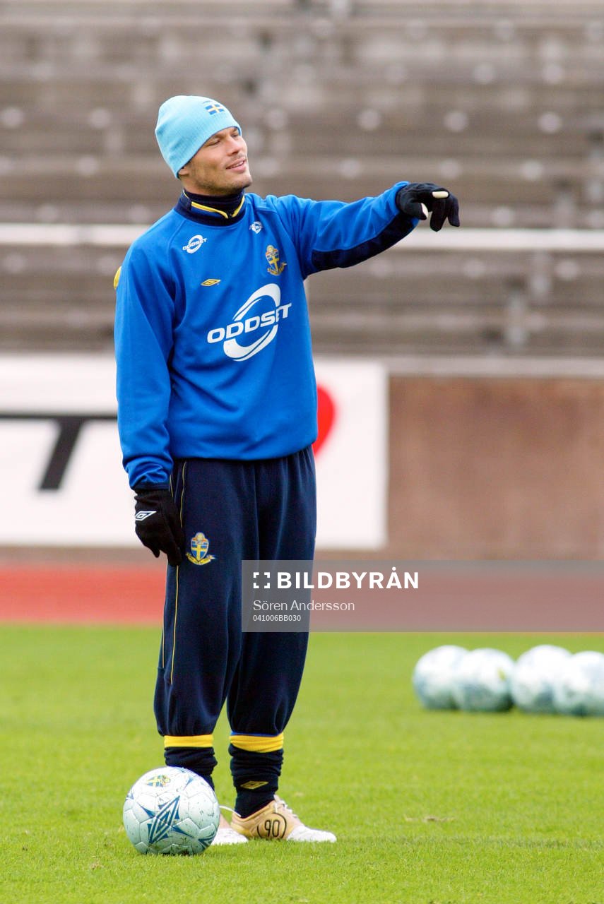 Fredrik Ljungberg, Sverige