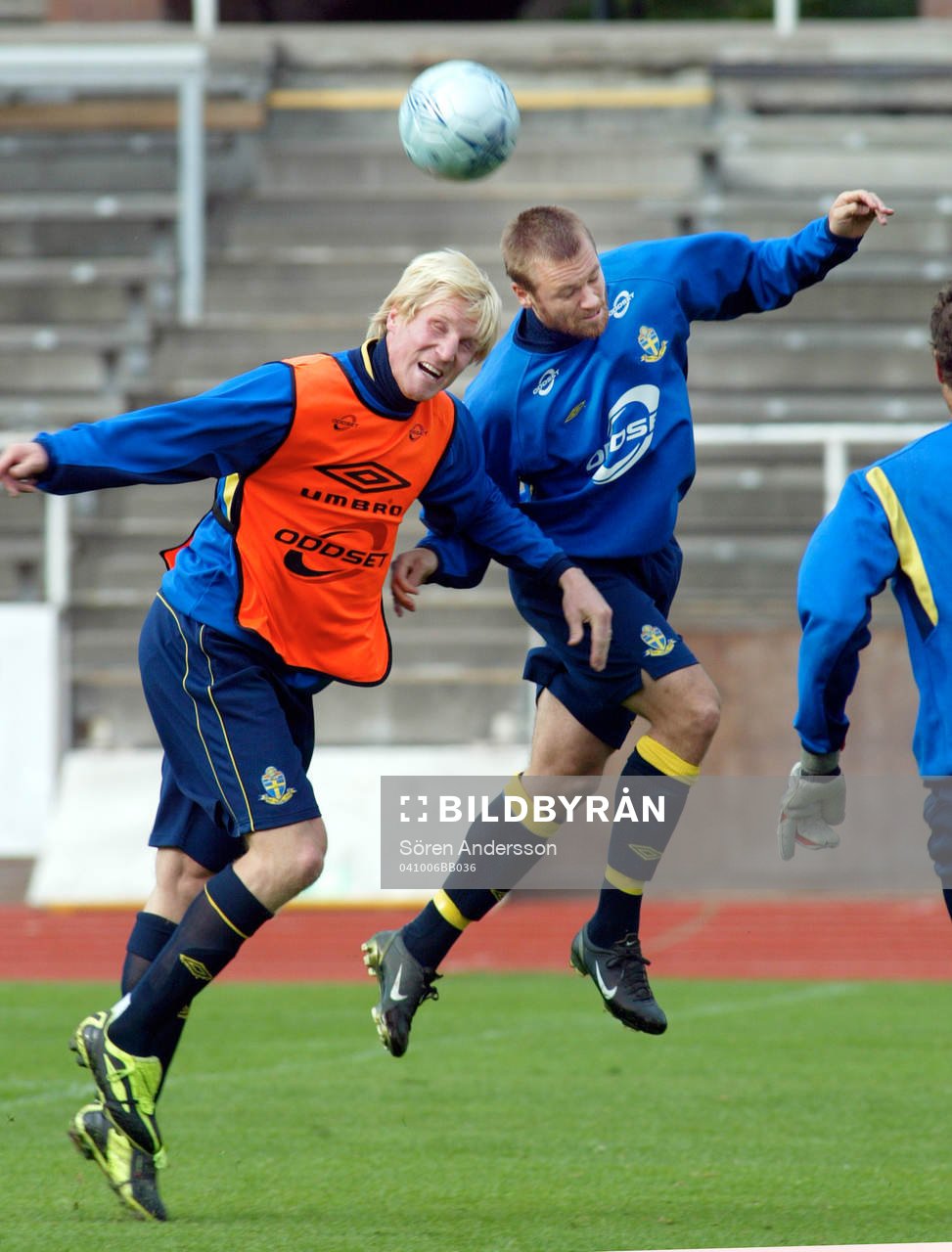 Petter Hansson och Olof Mellberg, Sverige