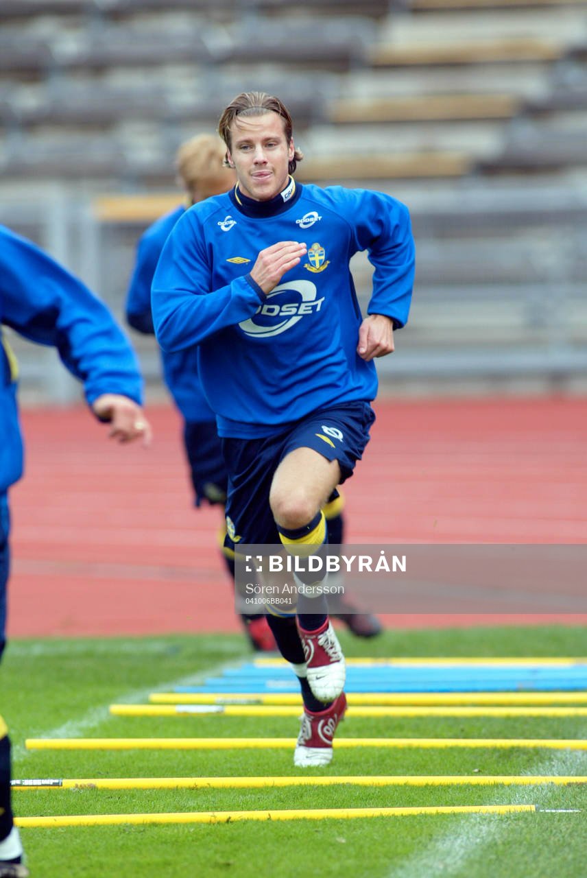 Pontus Farnerud, Sverige