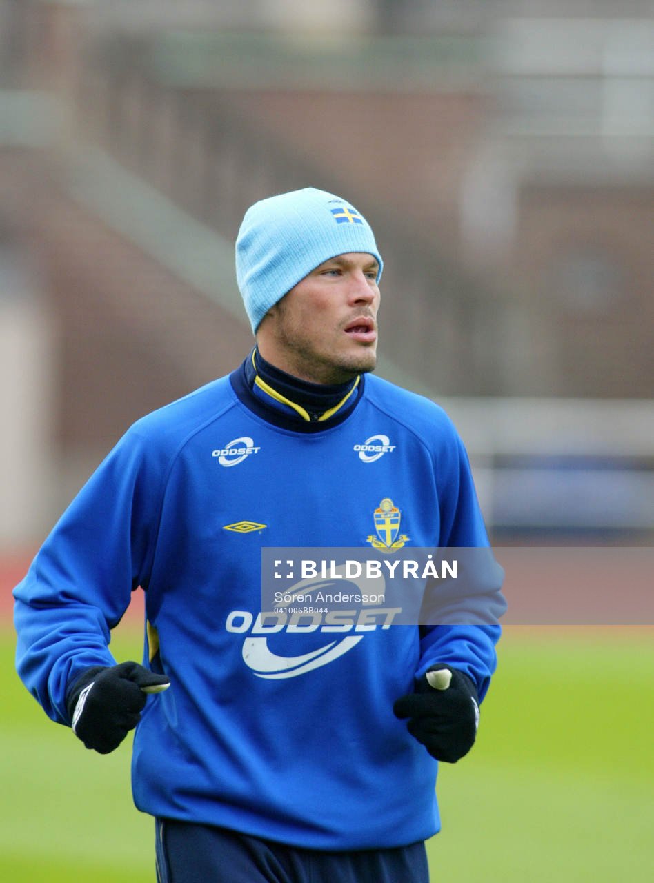 Fredrik Ljungberg, Sverige