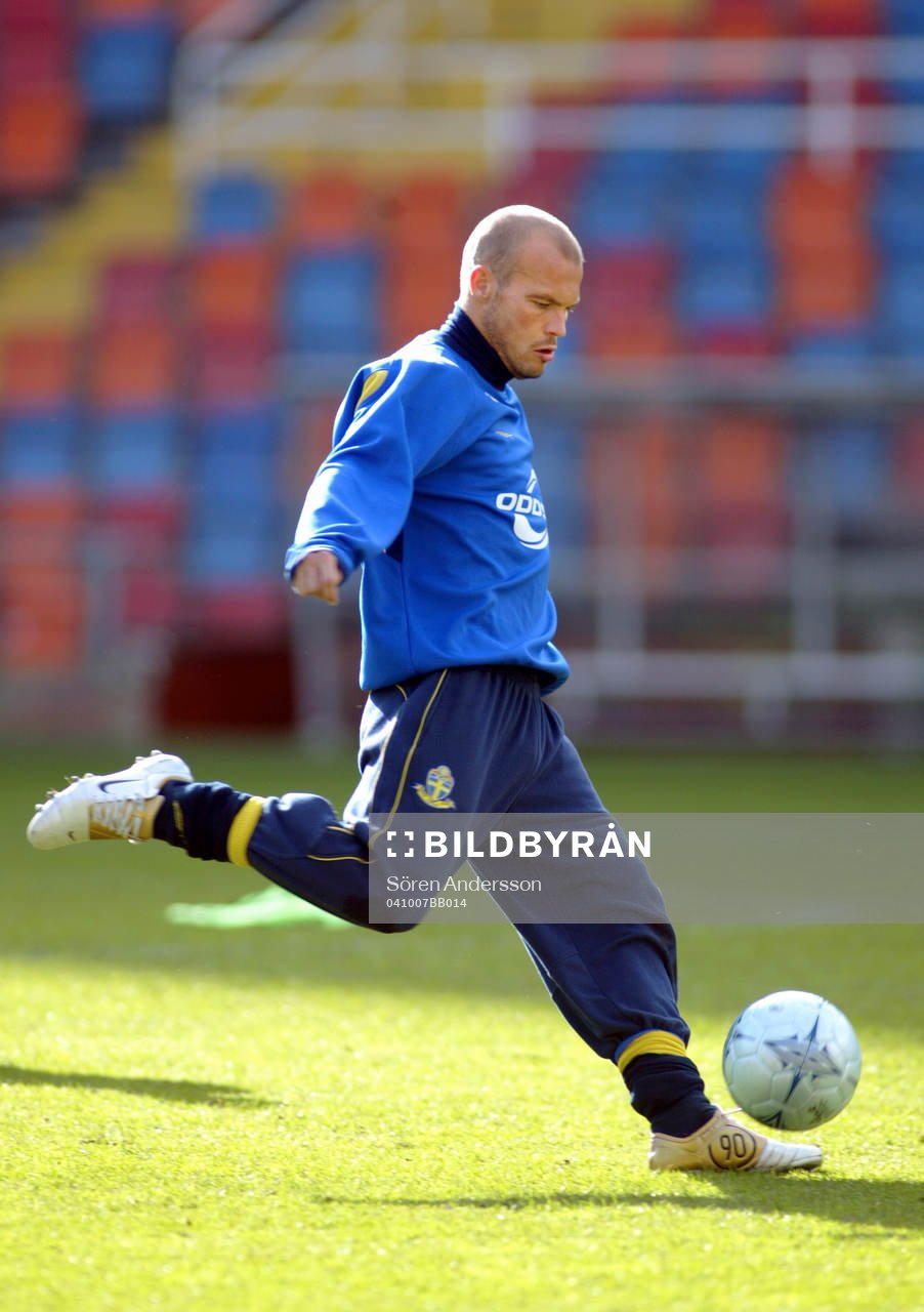 Fredrik Ljungberg, Sverige