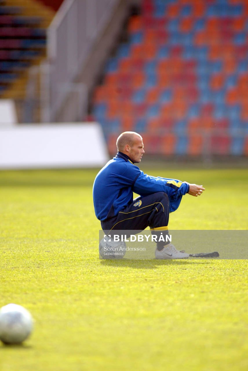 Fredrik Ljungberg, Sverige